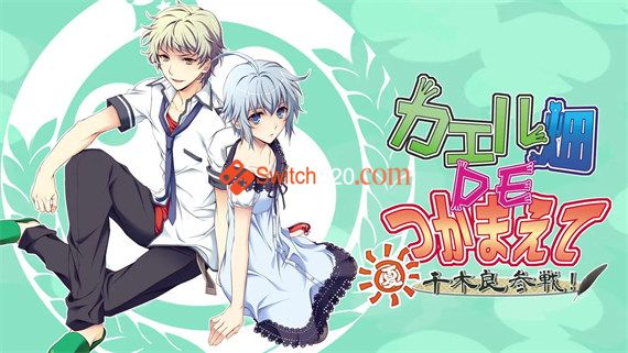 蛙畑奇事 夏千木良参战|日文|NSP-XCI|原版+魔改11.0.0|