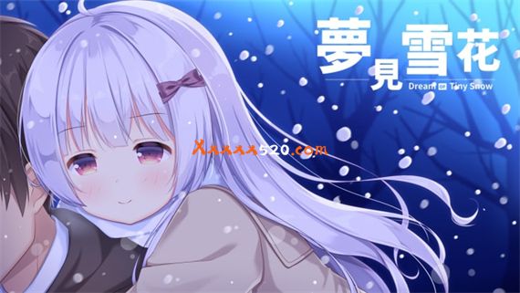 梦见雪花|官方中文|NSZ|原版|