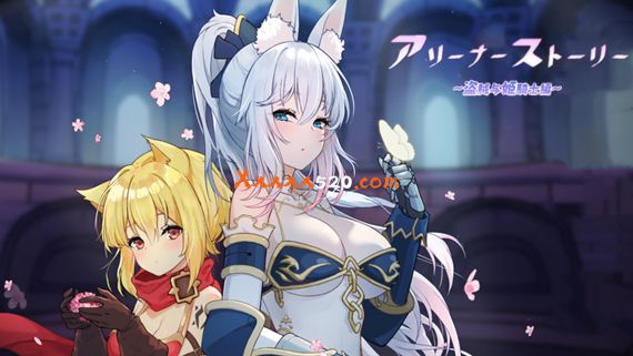 斗技场物语 盗贼与姬骑士篇|官方中文|Build.10801851-冰华晶瑩-云鬓乱舞+全DLC|解压即撸|