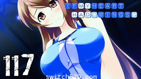 在这苍穹展翅|官方中文|本体+1.0.4原版整合|XCI|修正|