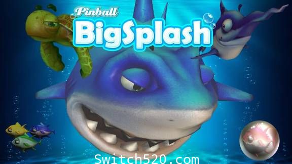 弹球大飞溅:Pinball Big Splash/英文版/本体+1.1升补/[NSZ][魔改9.2]